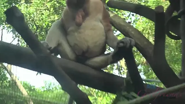 Jamie Marleigh eagerly joins you in Singapore for hot fun