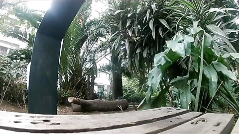 I filmed me pissing on the street